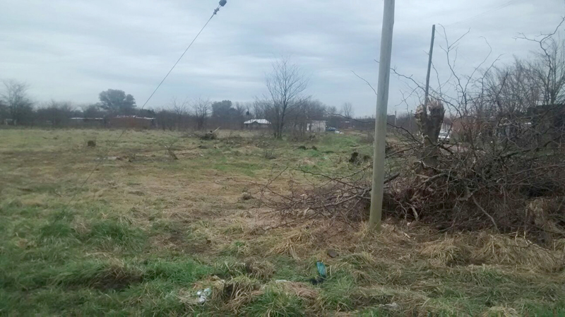 Responsabilidad Social como la entendemos en Piram Responsabilidad Social como la entendemos en Piram